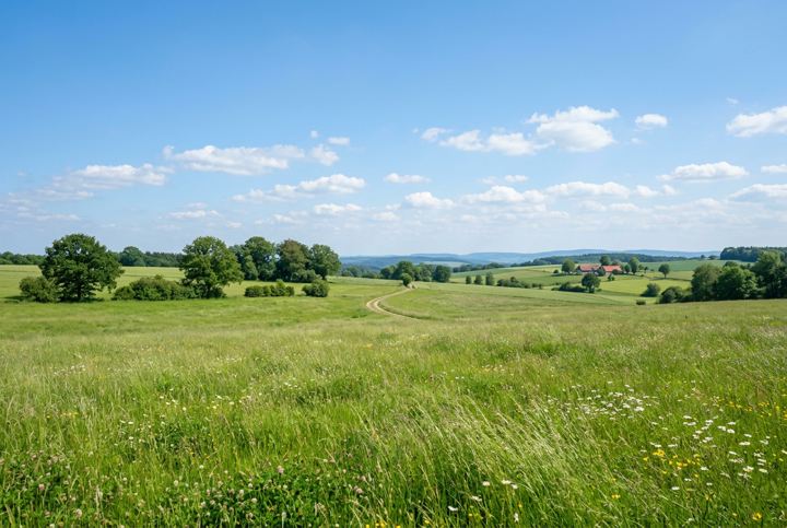 Bürgerinitiative gegen den FMO-Ausbau
